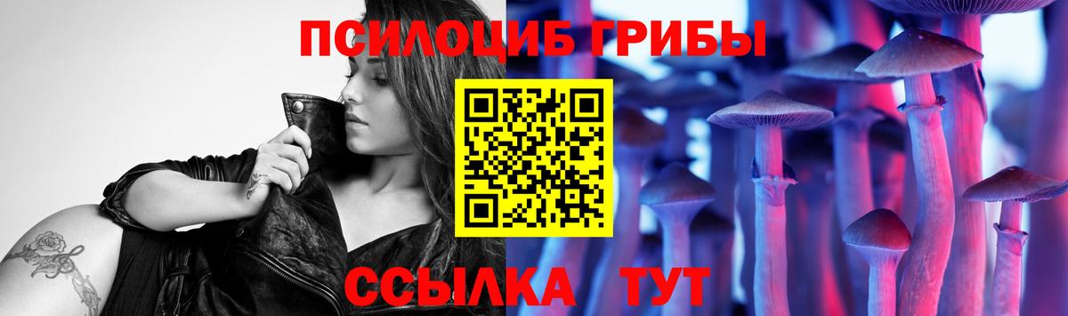 Гусиноозёрск  цены наркотик  Псилоцибиновые грибы Psilocybine cubensis  Вход с VPN  Галлюциногенные грибы прущие грибы 